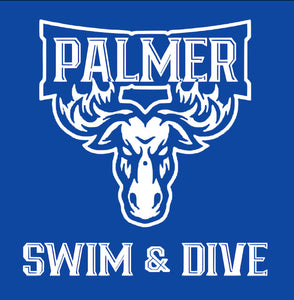 2021 PHS Swim Performance Hoodie