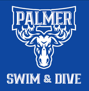 2021 PHS Swim and Dive Hoodie