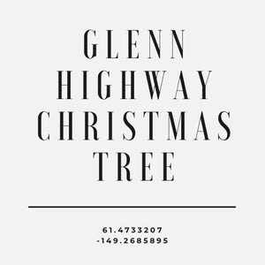 GLENN HIGHWAY CHRISTMAS TREE HOODIE