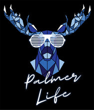 Load image into Gallery viewer, PALMER HIGH VOLLEYBALL HOODIE
