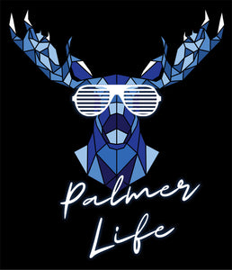 PALMER HIGH VOLLEYBALL HOODIE