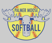 Load image into Gallery viewer, PHS Softball Full Zip Hoodie